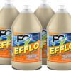 F9 EFFLO Efflorescence Remover, Case of 4 Gallons