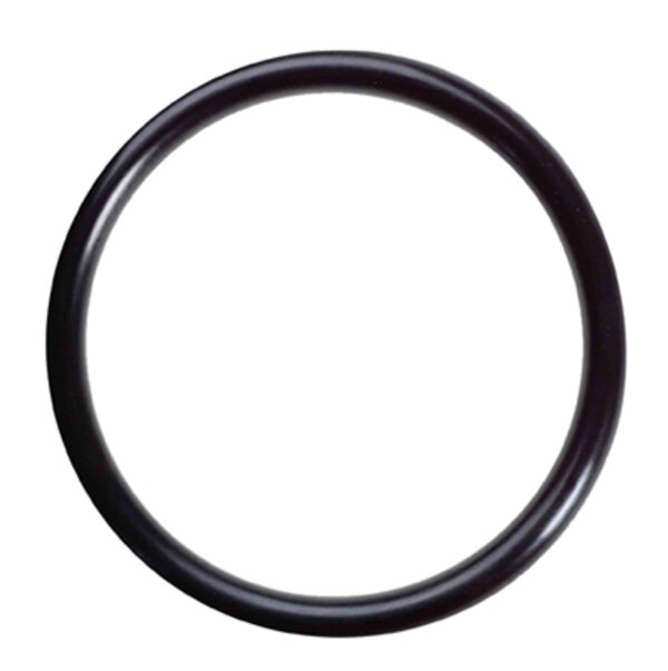 GP90384700 - TS Valve Cap O Ring